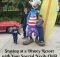 Staying at a Disney World Resort with Your Special Needs Child