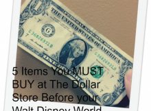 5 Items You Must Buy at The Dollar Store Before your Walt Disney World Vacation