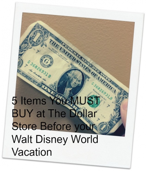 5 Items You Must Buy at The Dollar Store Before your Walt Disney World Vacation