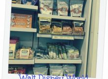 disney world food allergy snacks