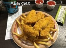 Disney world food allergy quick service meal