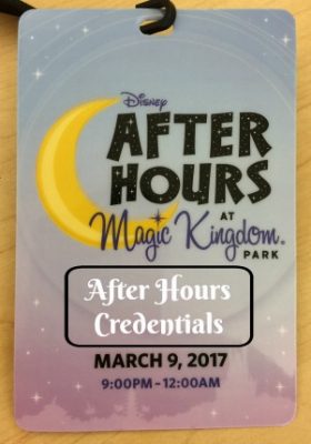 Disney After Hours