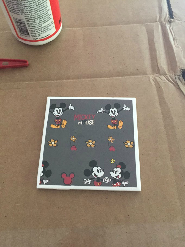 Disney DIY Coaster