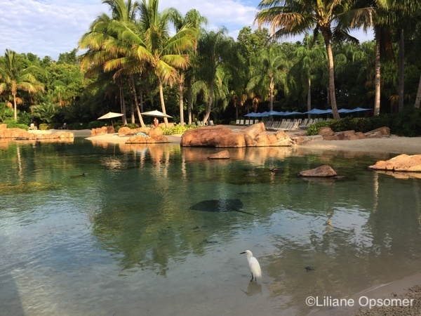 Discovery Cove