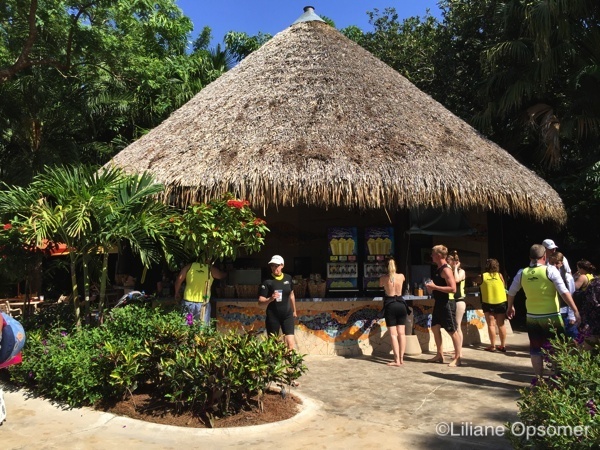 Discovery Cove 