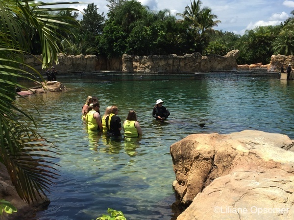 Discovery Cove