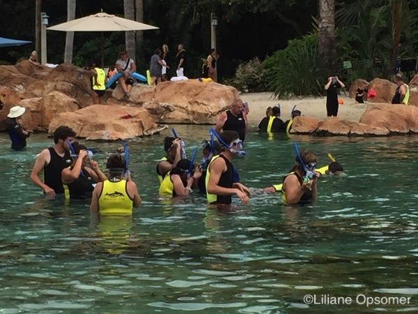 Discovery Cove 