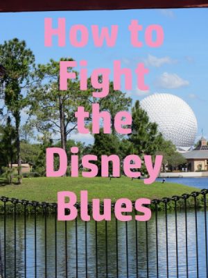 How to Fight the Disney Blues