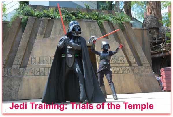 Jedi Training