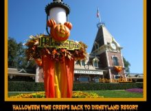 Halloween Time