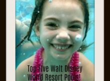 Top Five Resort Pools at Walt Disney World