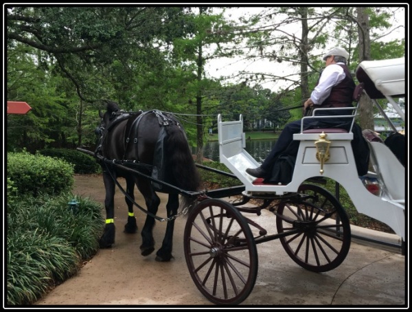 Slow down and enjoy a carriage ride at Port Orleans Riverside