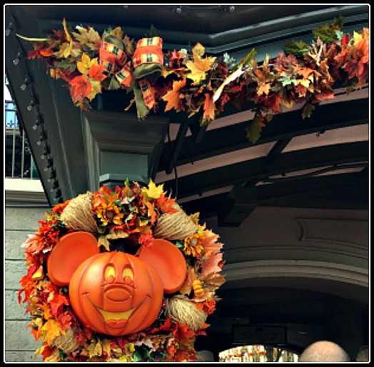 Fall fresh decorations