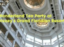 Wonderland Tea Party at Disney's Grand Floridian Resort