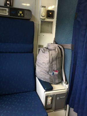 Amtrak Roomette