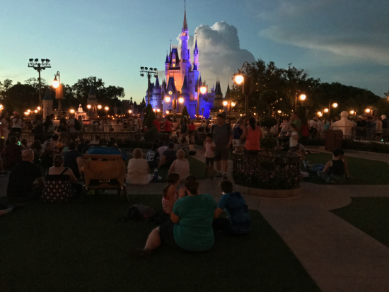 Garden viewing in front of Cinderella Castle