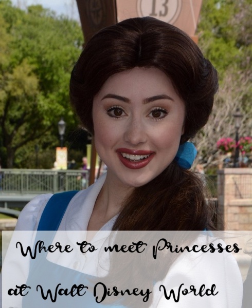 Princess meet and greet