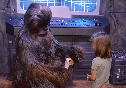 Chewbacca meet and greets 10 tips for disney meet and greets