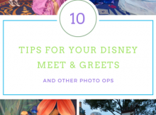 10 tips for disney meet and greets