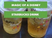 Magic of Starbucks