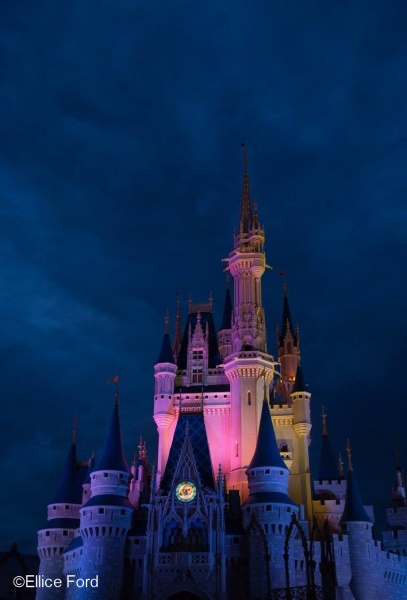 free and affordable Disney World bucket list items