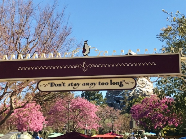 Disney Magical Details: Jolly Holiday Bakery in Disneyland