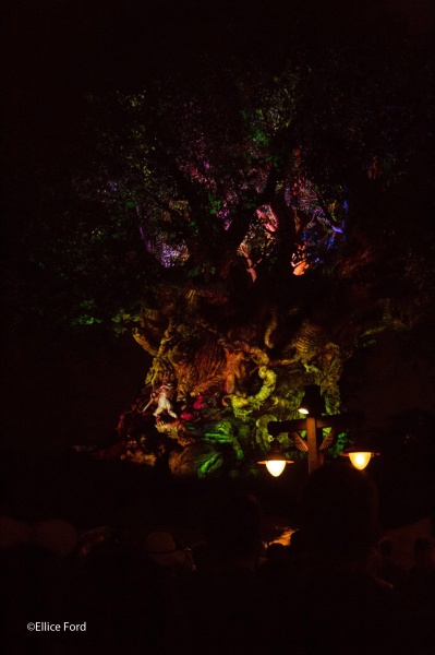 free and affordable Disney World bucket list items free and affordable Disney World bucket list items