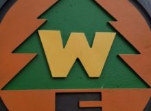 Wilderness Explorers