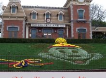Disneyland Bachelorette Party