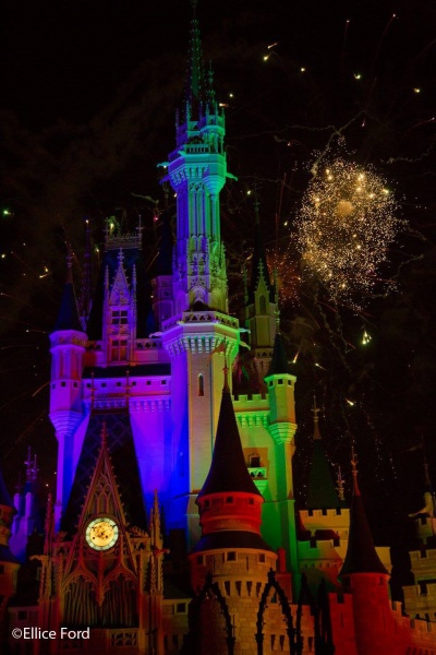 splurge-worthy Disney World bucket list items