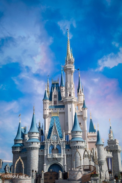 splurge-worthy Disney World bucket list items