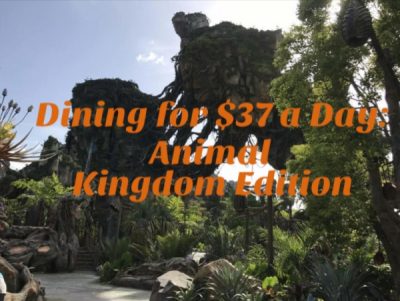 Disney Dining, Dining for $37 a Day: Animal Kingdom Edition