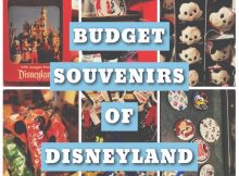 Budget Souvenirs of Disneyland Resort