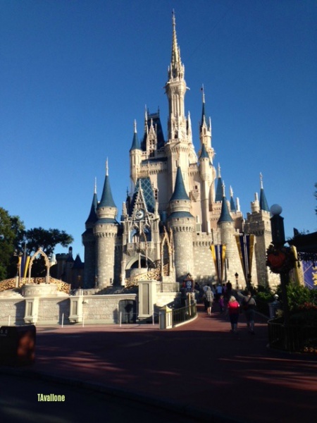 Cinderella's Castle-Why We Love Thee
