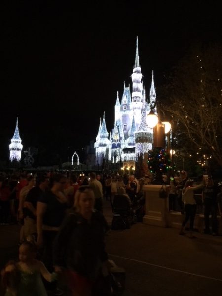 Cinderella's Castle-Why Do We Love Thee?