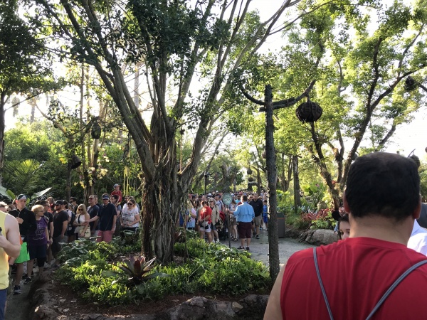 Hundreds of guests waiting for Flight of Passage