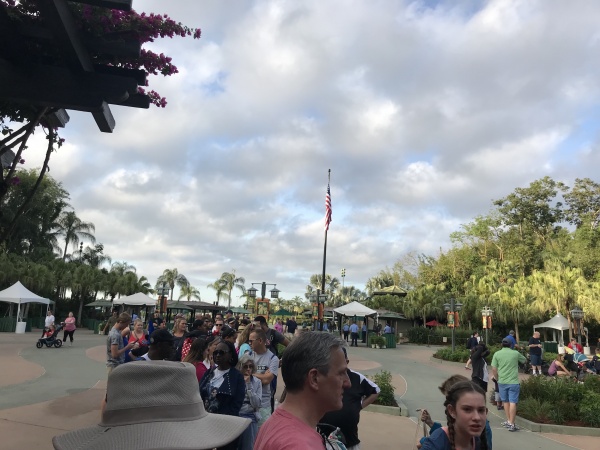 Rope Dropping Animal Kingdom