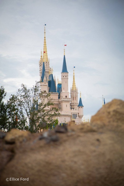 Canadian's Guide to Walt Disney World