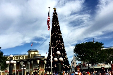 Cinderella's Castle-Why Do We Love Thee?