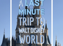 Last minute trip to Walt Disney World