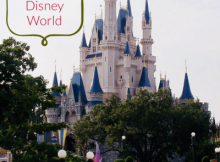 A Solo trip to Disney