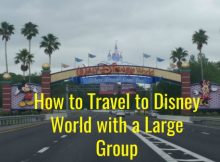 How to Travel to Disney World with a Large Group