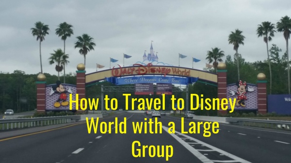 How to Travel to Disney World with a Large Group