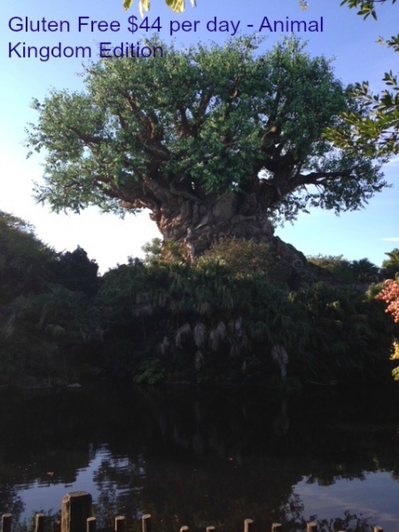 Gluten Free Dining $44 per day - Animal Kingdom Edition