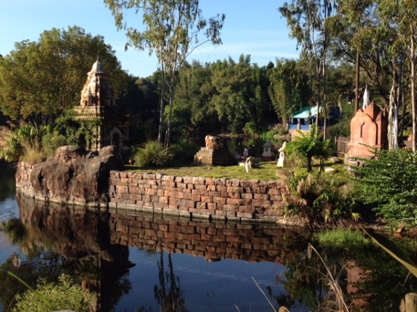 Gluten Free $44 per day - Animal Kingdom Edition