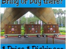 Bring or buy Disney trip supplies?