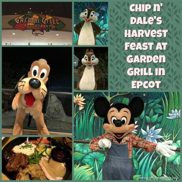 Chip N Dale S Harvest Feast At Garden Grill Epcot At Walt