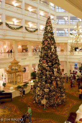 Grand Floridian Christmas