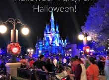 Attending Mickey's Not So Scary Halloween Party, on Halloween