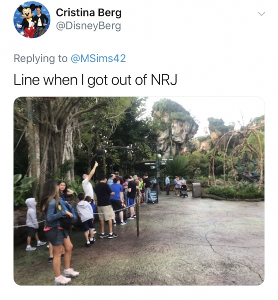 Lines getting long at Animal Kingdom